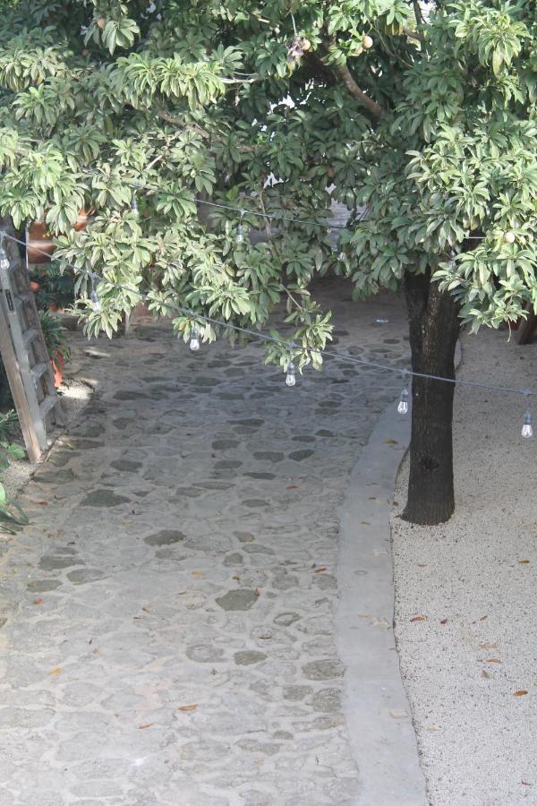 בקאלאר Hotel Szapot מראה חיצוני תמונה